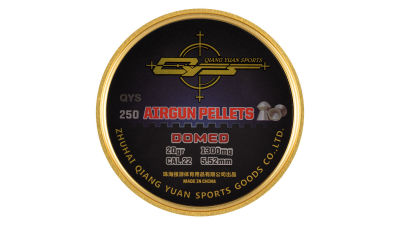 QYS Domed Nose 22 5.5 20.06gr (250)